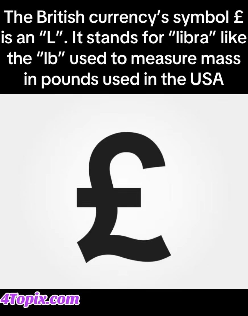 /temp_image_DD647AEC-6213-42E4-86C0-4150CC53840D